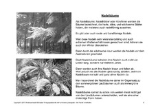 Bäume-Lesetext-SW-8.pdf